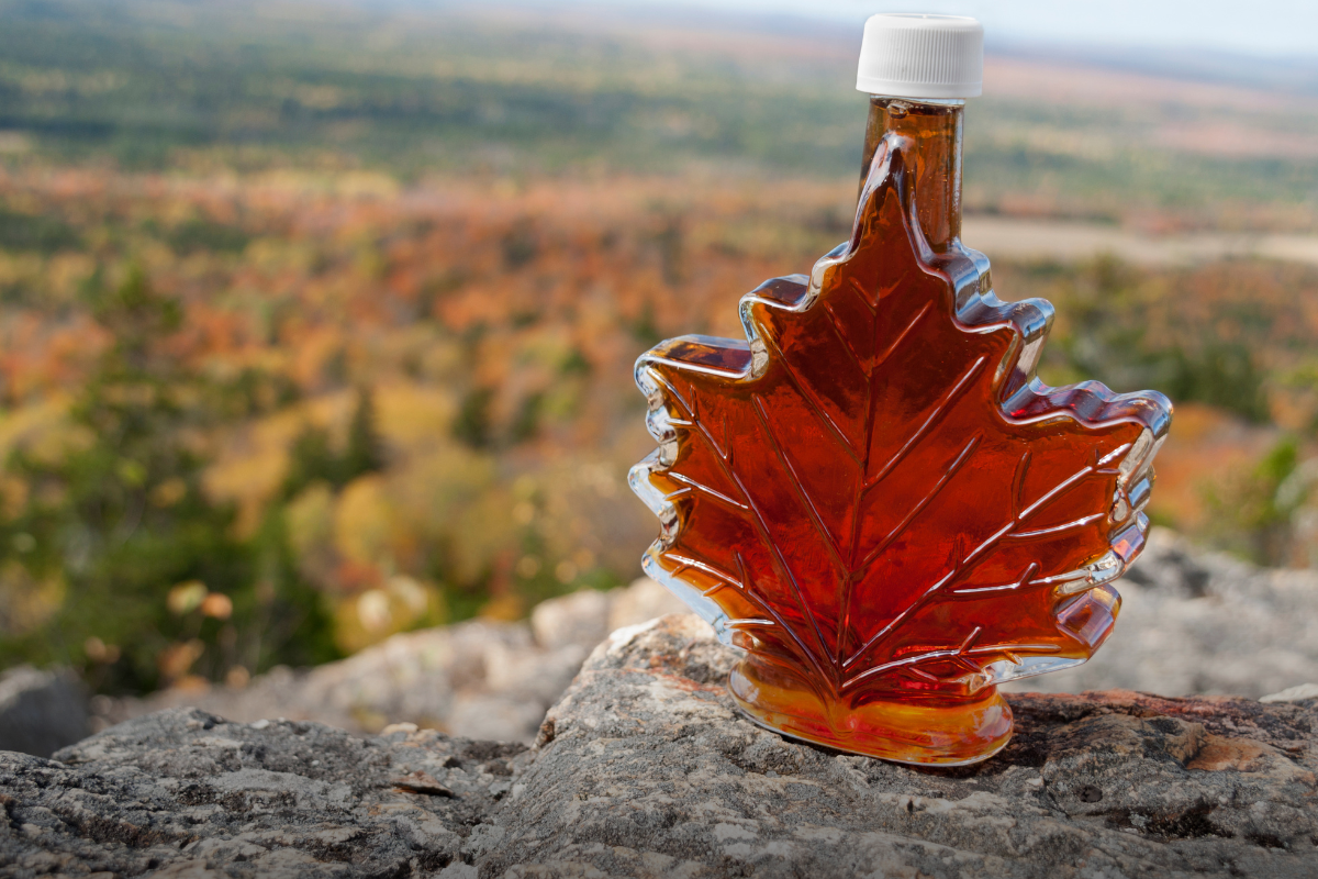 Maple Syrup Festival at Bronte Creek Provincial Park - concept